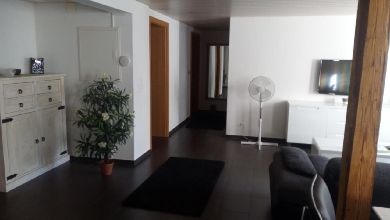 3 Doppelbett Business Apartment am Bodensee Arbon Exterior foto